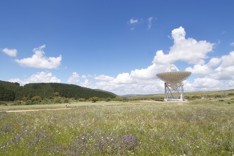 Sardinia Radio Telescope